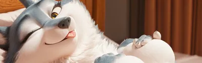 Private herd with a long title so you can read a lot of text isnt this nice so m banner